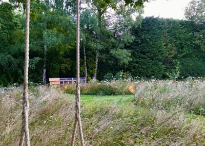Garden wildflower meadow with a swing in Kent